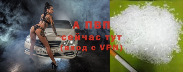 a pvp Алзамай
