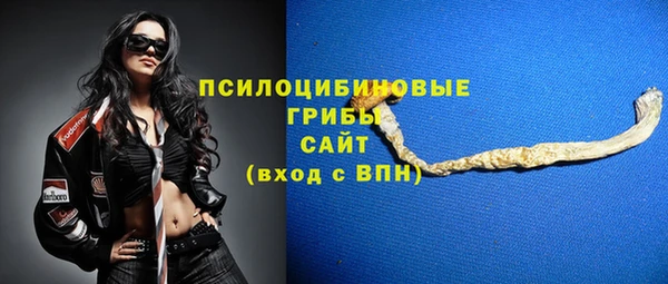 a pvp Алзамай