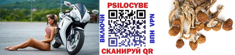 где купить наркоту  Новая Ляля  Псилоцибиновые грибы Psilocybine cubensis 